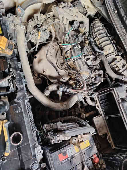 السلام عليكم
قريبا جدآ..
عروض تخص التما من موديل 2008 الى موديل 2024...
تخص المحرك والكير بسعر تنافسي وبضمان المواد والعمل...
ديالى المقداديه الشارع الجديد قريب على تقاطع برشته...
احمد ***********
