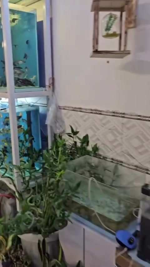 عروض الجمعه والسبت يم الدر 
للتواصل معنا راسلونه ع الواتساب وبيكم خير وتدللون #الدر #اسماك_زينه #خدمة_التوصيل #فايتر #اكسبلور


**إذا كنت صاحب هذا الإعلان وتريد حذفه لأي سبب، رجاءا أرسل رسالة إلى الدعم الفني**