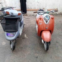 منغولي 2003 • عبد الحليم • بدون مجال