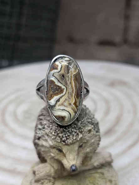 *********** البصرة, العراق
