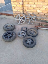فراشة • سكنس فحل • ويل ايراني