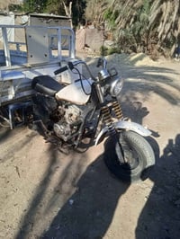 ستوته • اسود • كوت فلاحيه