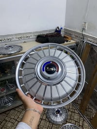 تخم كب ابو لاسد • نضافة 95/100 • نجف