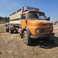 موديل ٨١ • ورق بلادي • جير جديد