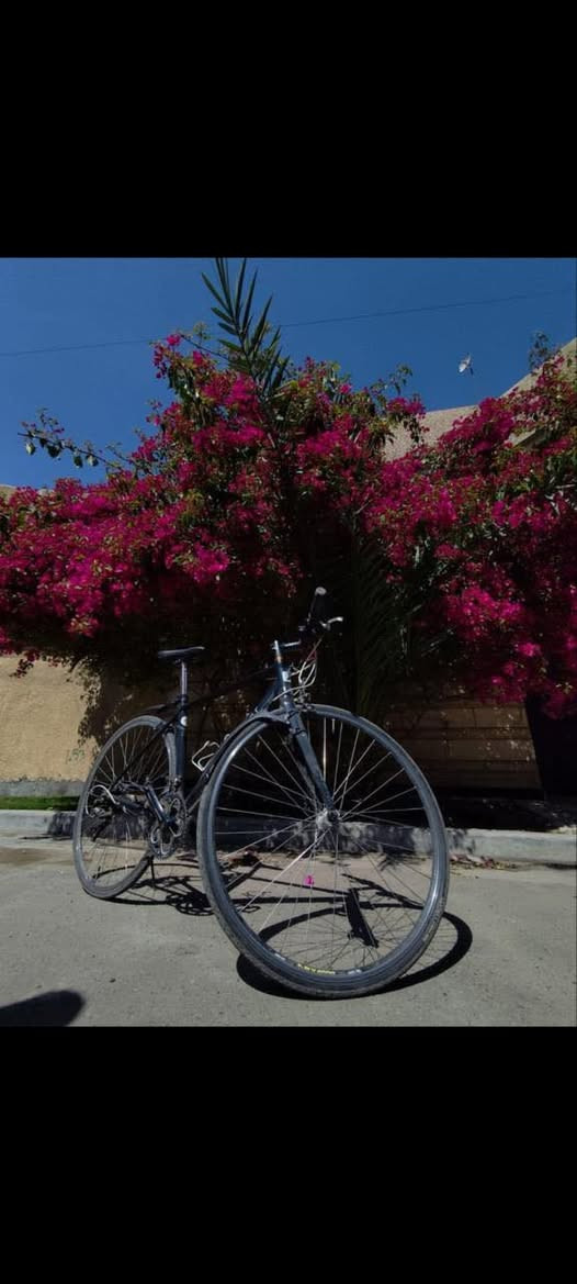 بايسكل رود c700 حجم 28 ماركة لويس كندي  جدا نظيف السعر قفل 350 الماشة كاربون باقي الشة المنيوم  التواصل واتساب ***********
