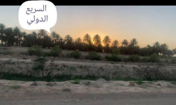 دونم طابو باسمنا في اطراف بغداد

الإتصال مباشر على صاحب السند ***********

جنس العقار/  دونم طابو زراعي سند ٢٥  باسمنا تحويل بطابو التسجيل العقاري في بغداد المحمودية

 الموقع/ بغداد اتجاه السريع الدولي القديم للجسر الرابع  بداية  دخول المنطقة شيشبار

* يبعد ٨٠٠م عن السريع العام الدولي 

* يبعد ٢٠٠م   عن مدرسة البشائر والمحلات 

* يبعد ٢٥٠ م  عن التجاري الرابط بين الدولي ومطار الصويره 

* يبعد  ربع ساعة عن جسر الطابقين والدورة   

الابعاد/ شارع ونهر من الامام *وشارع ونهر من الخلف 
 ومحدد ابعاده بواسطه مساح قانوني ملحق بكهرباء وسقي . مسيج مع باب دخول للدونم جاهز  لمزرعه او مشروع صناعي او تجاري لكونه قريب من الدولي 

الخدمات/ خط كهرباء *حصة مائية *مدارس *محلات *تبليط
