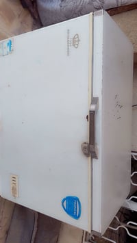 تجميد • فول فول • ١٧٥