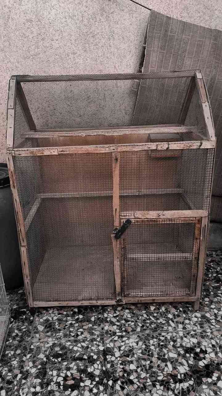 سلام عليكم عندي قفاصه ثنين . الاول حديد ويا  جميع الشغلات يلي بل قفص السعر 30
اما الثاني القفص الخشب حجمه كبير  والسعر مالته (20) المكان كربلاء حي الغدير 
الرقم *********** كربلاء, العراق
