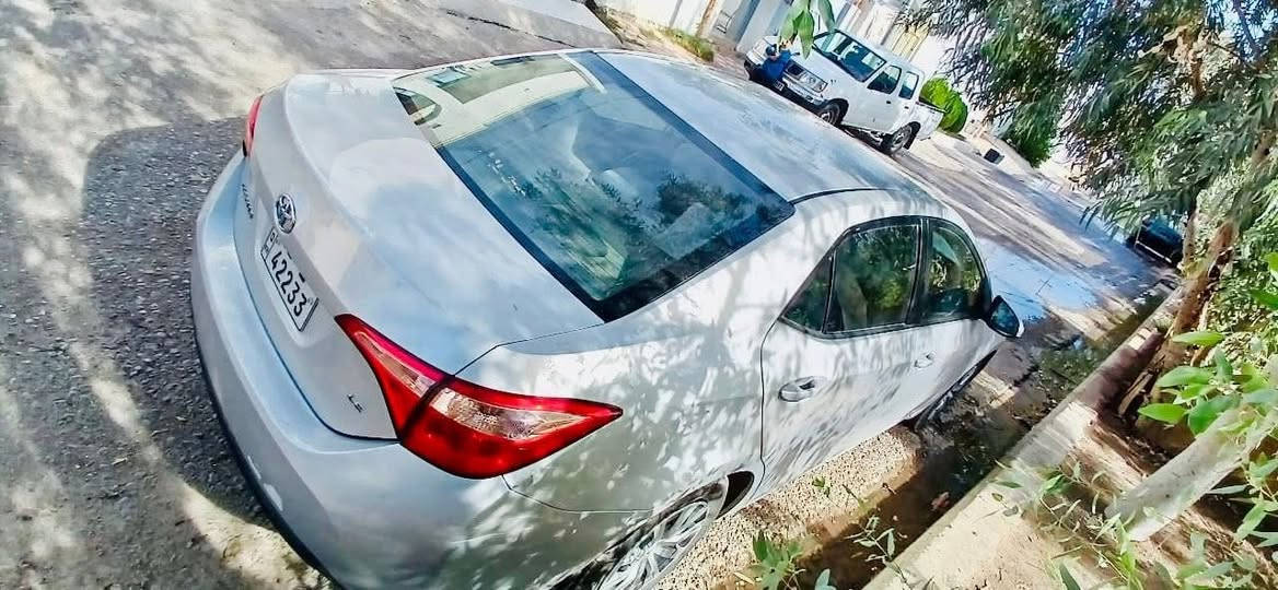 السلام عليكم كورلا 2018سلفر رقم اربيل سنويه هزه كله جديد تحويل مباشر جاهزه مجهزه سياره مكينه كير كله شرط بيها 3قطع صبغ فقط باقي مكفول ❤️
مكان سياره كلار 
سعر 128بيها مجال 
اتصال او واستاب رقم بي‭
0772 117 1400‬
