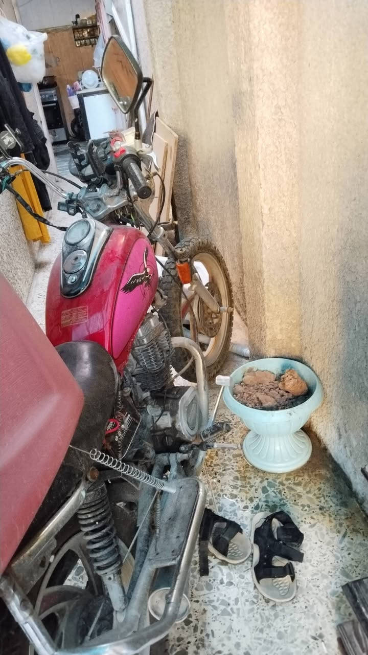 الي بل صوره البيع سعر 350  مكاني بغداد حي الجهاد ***********
