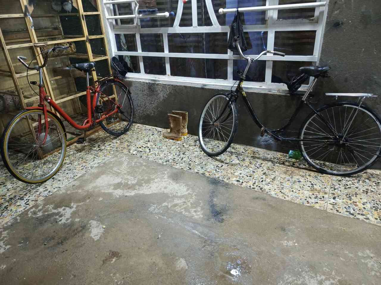 بايسكلات للبيع العدد 2 كاملات وشغالات بس واحد عوزة جاملغات وجوب سعرهن ٥٠ بيهن مجال مكان بغداد المشتل الشراي يتصل عل رقم ورجائن المو شراي لا يتعبني ***********
