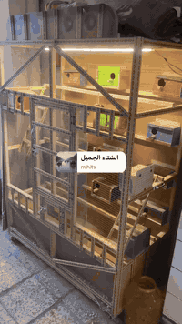 السلام عليكم   قفص طيور حب للبيع.  الارتفاع 190  العرض مترتين نزال 40للبيع.  سعره 90الف سويته ب140 الف 
مكاني بغداد المشتل للاتصال واتس اب ***********
جدا نضيف
