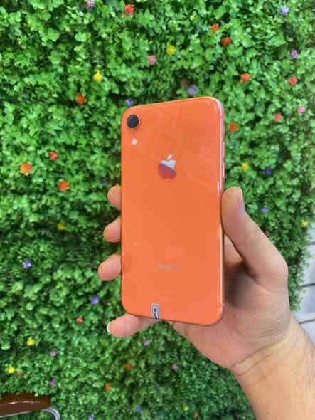 يالله ايفون XRذاكره 128 بطاريه 87بلاديه جهاز حلو ونضيف 
فقط بصمه وجه واكفه والباقي كله كفاله وبي ضمان من محل

سعره 150 قفل جوه سوك تكدر تتاكد مكان المحل بغداد رحمانيه جعيفر قرب مقهى بيروتي ونادي الزوراء الرياضي متواجدين من4عصر لل11

*********** واتساب واتصال
***********اتصال فقط
