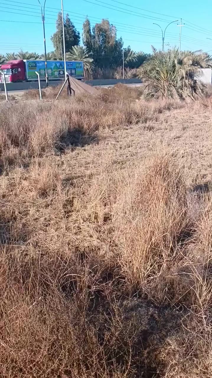 ***********%%***********
