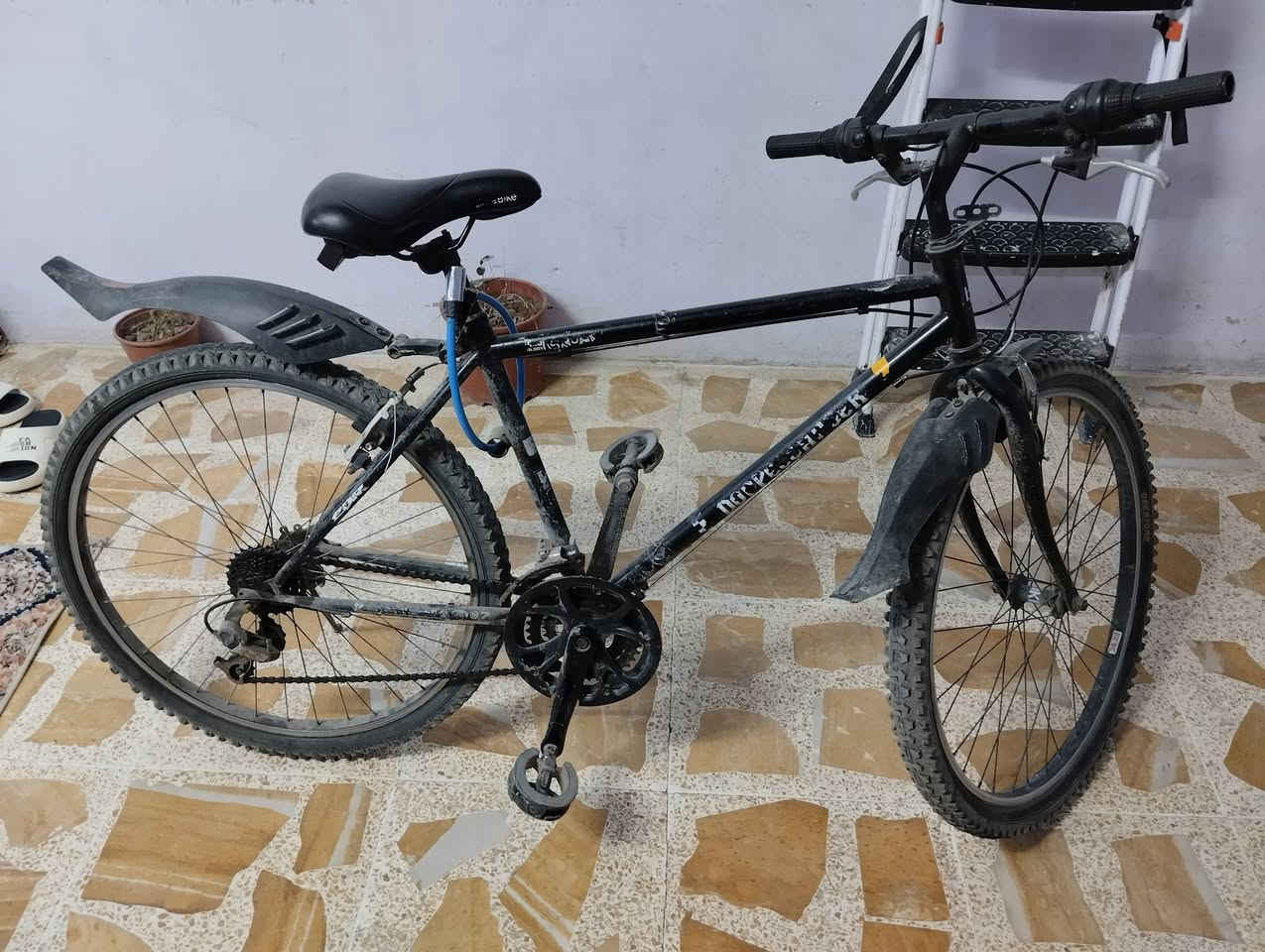 للبيع مراسله خاص بسعر مناسب


**إذا كنت صاحب هذا الإعلان وتريد حذفه لأي سبب، رجاءا أرسل رسالة إلى الدعم الفني**