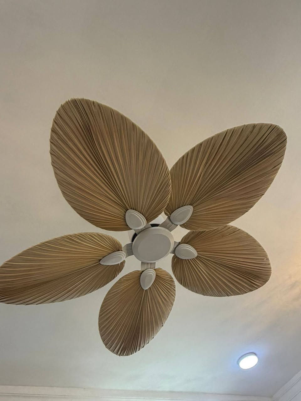 إعلان بيع أغراض مستعملة (بحالة الجديد)
أغراض مستعملة استعمال خفيف لمدة 6 أشهر فقط
بحالة ممتازة وقريبة من الجديد
📍 المكان: بغداد / الدورة
📞 للتواصل عبر واتساب: ***********
الجادين فقط، والسعر قابل للتفاوض ✨
