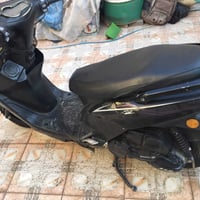 سكنس فحل • ياباني • موديل٢٠٢٤