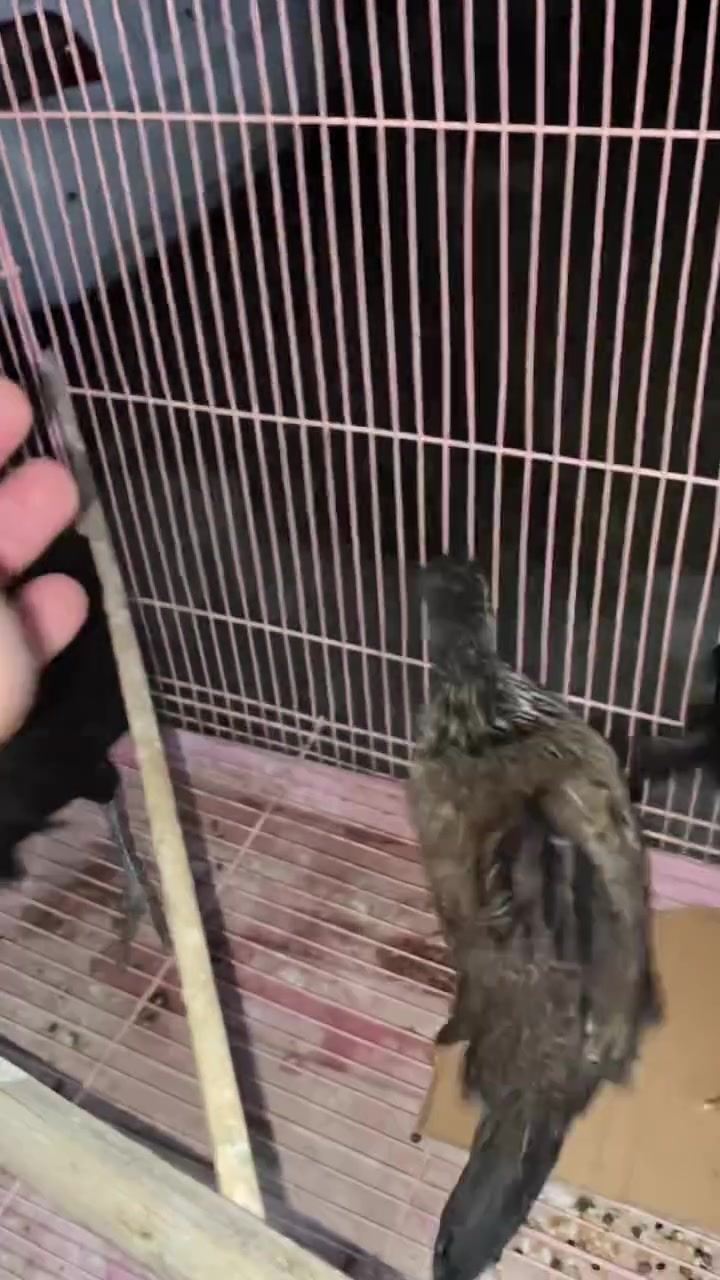 السلام عليكم متاح باقي التفاصيل *********** تكريت حي الديوم
