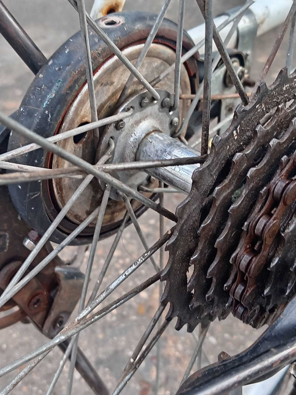 السلام عليكم بايسكل بناتي للبيع موديل 2013
شغال  كلشي ما بي  بي حساس وعگرب

بريك بل مكان

السعر ٦٥ وبي مجال حك الجية

المكان بغداد الشعب التواصل على الخاص


**إذا كنت صاحب هذا الإعلان وتريد حذفه لأي سبب، رجاءا أرسل رسالة إلى الدعم الفني**