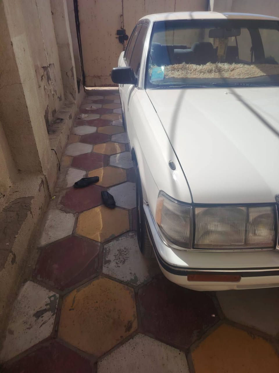 سلام وعليكم يسارا البيع نوع رنب ابتر
مكاني البصره ابو الخصيب شارع الميناء ابو فلوس
***********
