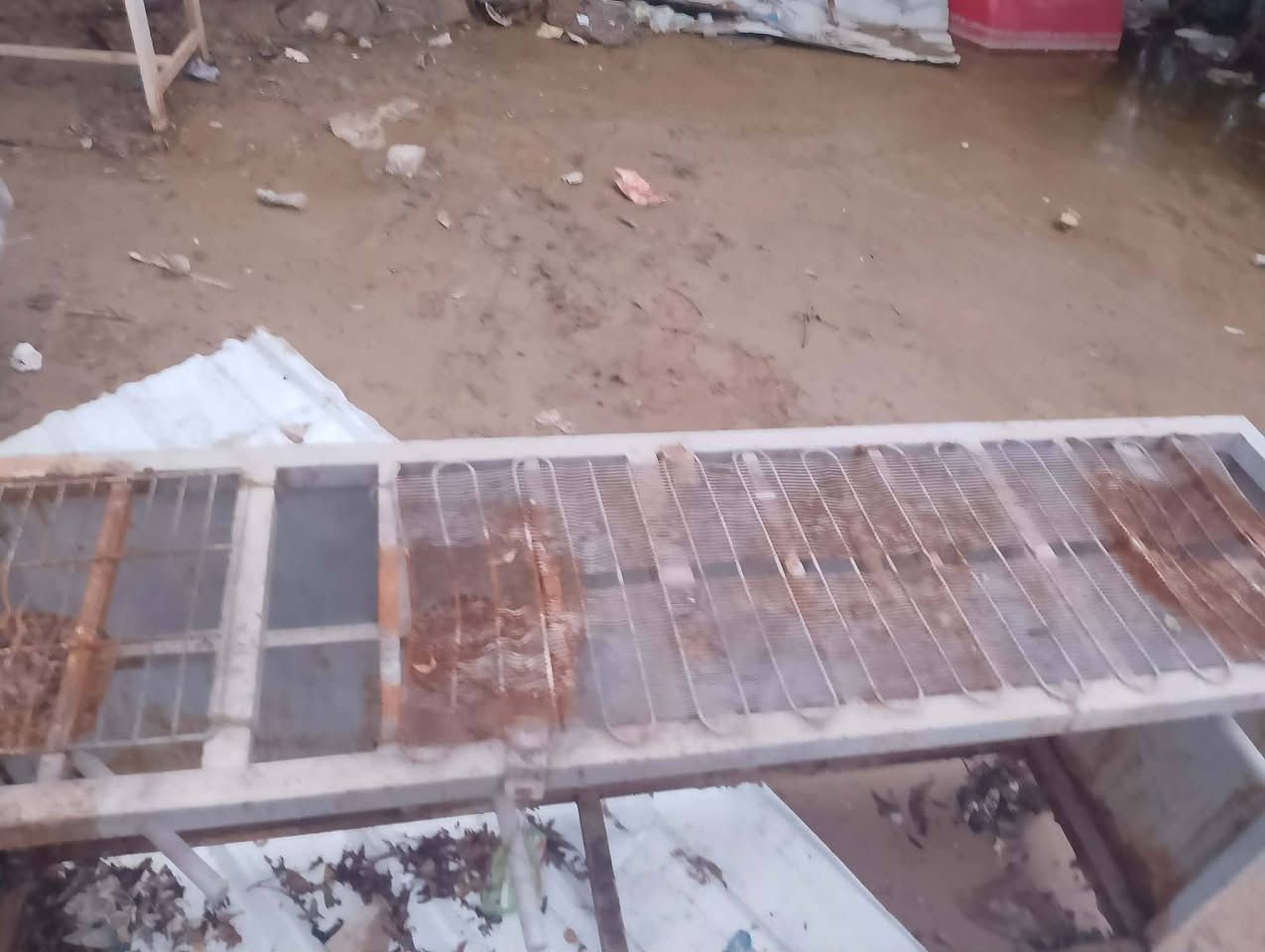 سلام عليكم عدي ميوزه عدد 2 طول مترتين ولعرض 70 سانتيم وطباخ مال موكب تلاثه عيون طول طباخ مترتين ونص مكان بغداد العبيدي تصال ***********
