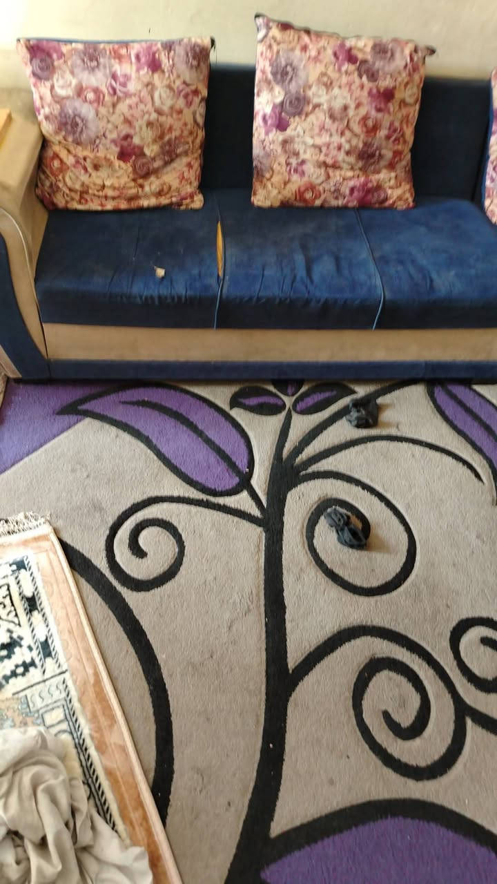 السلام عليكم ورحمة الله وبركاته
عندي قنفات للبيع
يحتاج تبديل قماش فقط قنفات جدا قويه


**إذا كنت صاحب هذا الإعلان وتريد حذفه لأي سبب، رجاءا أرسل رسالة إلى الدعم الفني**