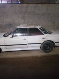 نجف • راعيه موجود • وكاله ٢٠٢٠