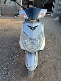 سكنس فحل • ياباني • شهربان