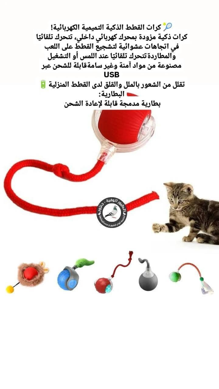 السلام عليكم هاي غراض امزون وسعرهم مناسب جدا


**إذا كنت صاحب هذا الإعلان وتريد حذفه لأي سبب، رجاءا أرسل رسالة إلى الدعم الفني**