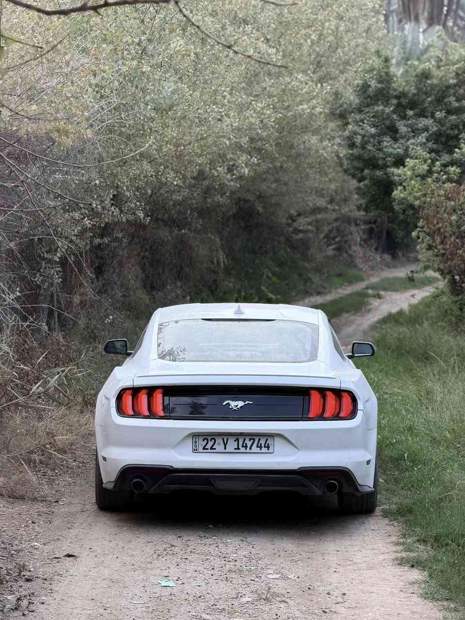 السلام عليكم
موستنك ايكو بوست 2023 
ماشيه ٢٢ الف بعدها جديده السياره
فول 1/1 بريميوم 
لون ابيض
كشنات جلد اسود
كشنات كهرباء
كشنات تبريد وتدفئه
شاشه كبيره ونظام كاربلي واندرويد اوتو 
خمس مودات قياده ( نورمال-سبورت بلس-تراك-دراك-سنو اند ويت )
٣ مودات ستيرن ( نورمال-سبورت-كومفورت )
دشبول ٧ الوان
كير ١٠ نمر
حساسات خلفيه
تشغيل عن بعد
مثبت سرعه 
رادار امامي 
رادارات جانبيه ونقطه عمياء
مكينه كير كفاله
رقم اربيل تحويل
مكان السياره بغداد
هذا رقم الشاصي
1FA6P8TH3P5104524
والسونار موجود
السعر ١٧٣ وبيها مجال
للتواصل 
واتساب ***********
اتصال ***********
