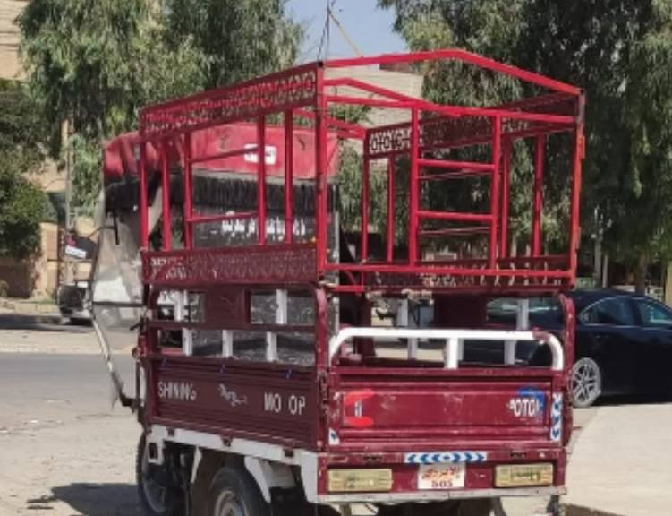 محجل معا جادر السعر ( 175 بي مجال  ) الشراي يتصل
***********
***********
