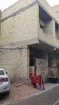 الفضل شارع براجه • هيكل • ٦٠م