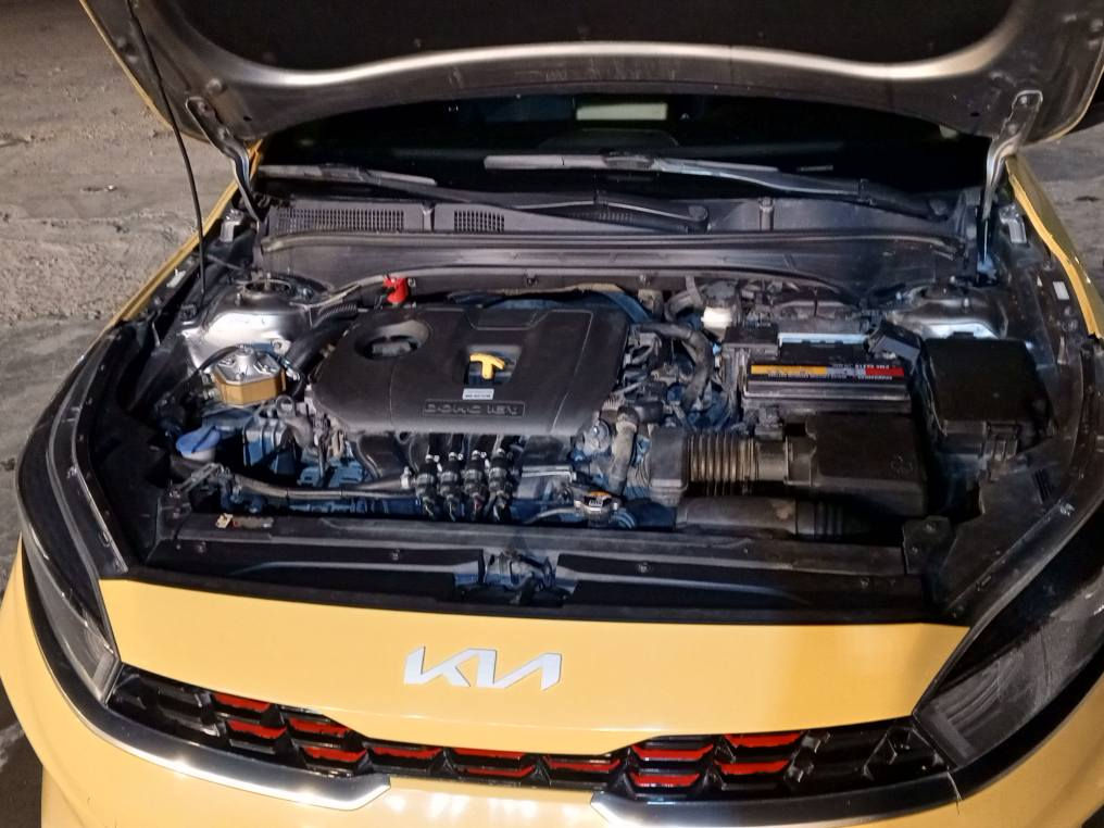 للبيع اومراوس  في (بدون رقم )
كيافورتي 2023lxمواصفات معروفه حادث بنيد وجاملغ راجع نفسه ليبل واحد صبغ خشم اللغد فقط تبديل دعاميات ارباك ستيرن وبردة على وضع الشركة مسوي ادامه للكير كامله جاهزة كبل للشارع  مكانهه بغداد رصافه
 *********** بغداد, العراق
