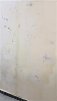 انتاج من شغلي صباغ داخل وخارج وطلس عام ومعالجة رطوبه وعازل اسطح وكافة ...