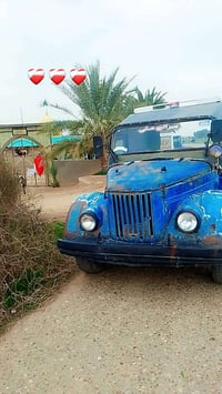 زوبه جلولائيه • شاحنة • للبيع