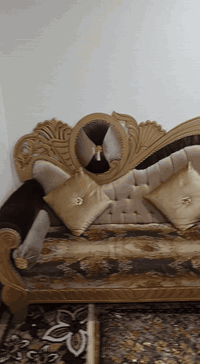 تخم 20 مقعد 💺 للبيع السعر مليون و150   للأستفسار. على الخاص او الاتصال...