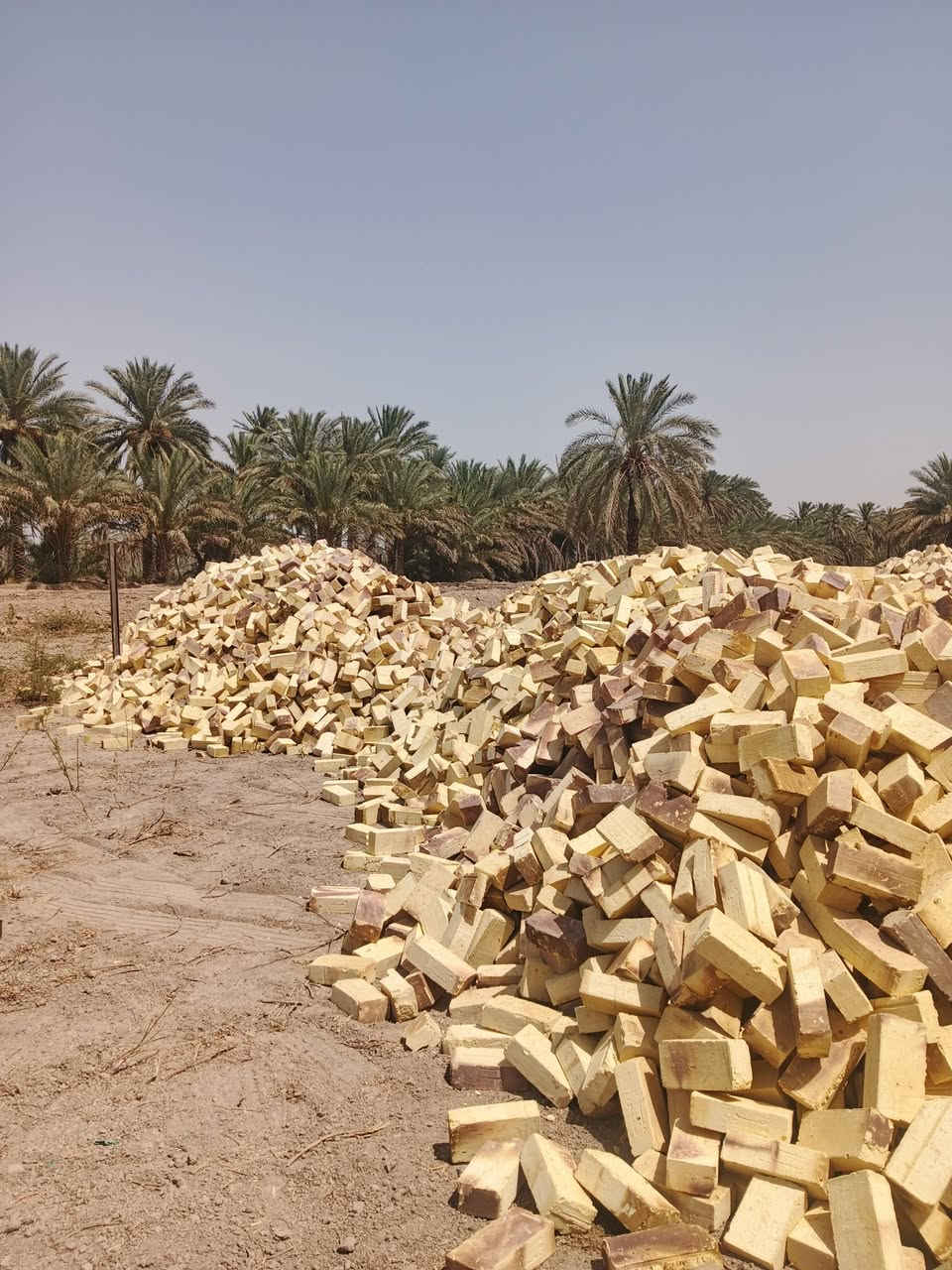 يوجد لدينا انواع الطابوك وانسب الاسعار  واصل🔥🔥
مجمع الشوملي طابوك فول المواصفات 

 طابوكه درجة اؤلى لون وقوه وقالب جبير 

مكفوله شرط المگلاب الاتصال على الارقام

📞***********📞
