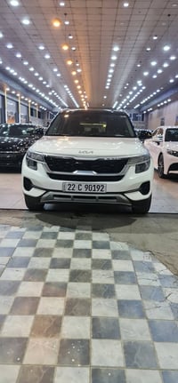 سيلتوس امريكي • ٢٠٢٣ • اربيل