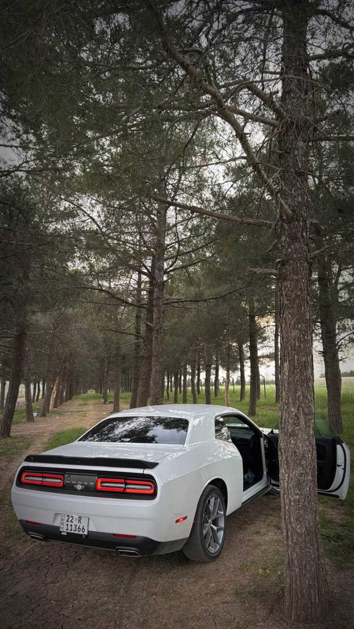 جالنجر 2022
موصفات sxt plas
ماشيه 41mil
فول فول موصفات ماعده السلايت 
كشنات جلد بلادي وتبريد تدفئه
+ الستيرن تدفئه
حتـى الدشبول والبيبان هم جلد اصلي  
خزن ميموري وضعيتين 
لايتات زنون 
ويل حجم 20
شفتات ستيرن 
شاشه جبيره 
سبورت مود
رادار نقاط عمياء بلمرايات
رقم شبه مميز 
سنويه وفحص وهزه كلها جديد 
ضرر السياره جاملغ جهة السائق صبغ على كد التعديل  فقط والبونيد تم تغييره حسب الرغبه
بدون دواخل بدون ايرباك بشرط
عنوان / كركوك *********** كركوك, العراق
