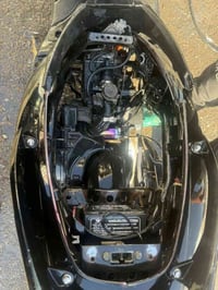 سكنس فحل • معدل • اوراق ضايعة