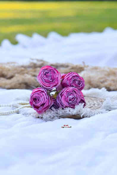 #فريق #الابداع مستعدون لجميع المناسبات كادر نسائي وكادر رجالي

#الجميع للحجز والاستفسار التواصل ع الخاص او واتساب📸 المصوره جوري ***********
#جلسات #خارجيه. #عقدقران… #اعراس… #تخرج .....#عيدميلاد  @متابعين  وكافة مناسباتكم
تتوفر طباعه صور ..كافة القياسات وتوصيل جميع مناطق النجف ❤️‍🔥❤️‍🔥
مصورة جوري 
للحجز والاستفسار مراسلة الصفحه
#مصوره جوري##الكوفه #مصوره #النجف #العراق #الجميع
#اكسبلور_فولو #اعراس #ترند #حلقات #حنه #حب #انستا  #مصوره
 #تصوير
‎
#مصورات_النجف #النجف #قاعه  #اكسبلور #ترندهاشتاكات #اكسبلور
