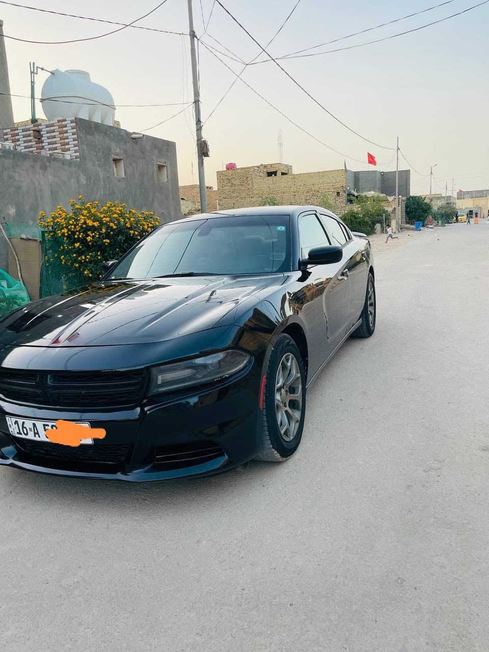 موصفات sxt
2017 

تو ويل

3600 V

تشغيل عن بعد

منضومه زنون

مكينه كير كاردن شركه

حداديه امامي وخلفي جديد

سنويه جديده 2030

بوابه صوت

شاشه كبير

تاير جديد

السعر 175

الضرر جاملغ مبدل بنيد بي تعديل بسيط

بدون دواخل شاصي مكفول

الرقم ***********

مكلف بالنشر اتصل على الرقم واستفسر
