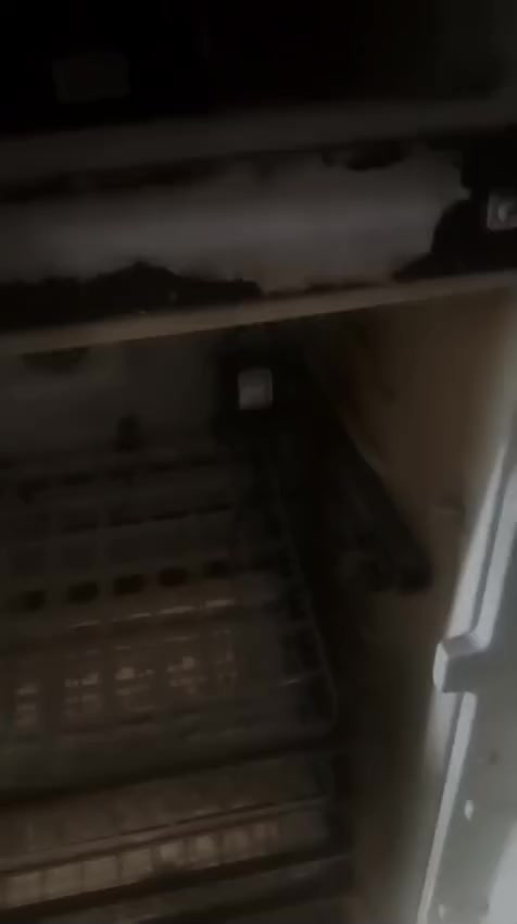 سلام عليكم فقاسة اللبيع ***********
