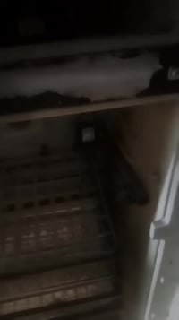 فقاسة اللبيع ٠٧٨٦٥٥٦٤٣٥٦