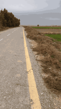 سلام عليكم ارض عشره دونم طابو  مكانه بتار قرب مركز السلام متوفر كلشي شارع تبليط تبعد عن شارع بغداد خمسميت متر 
رقم تليقون ***********
