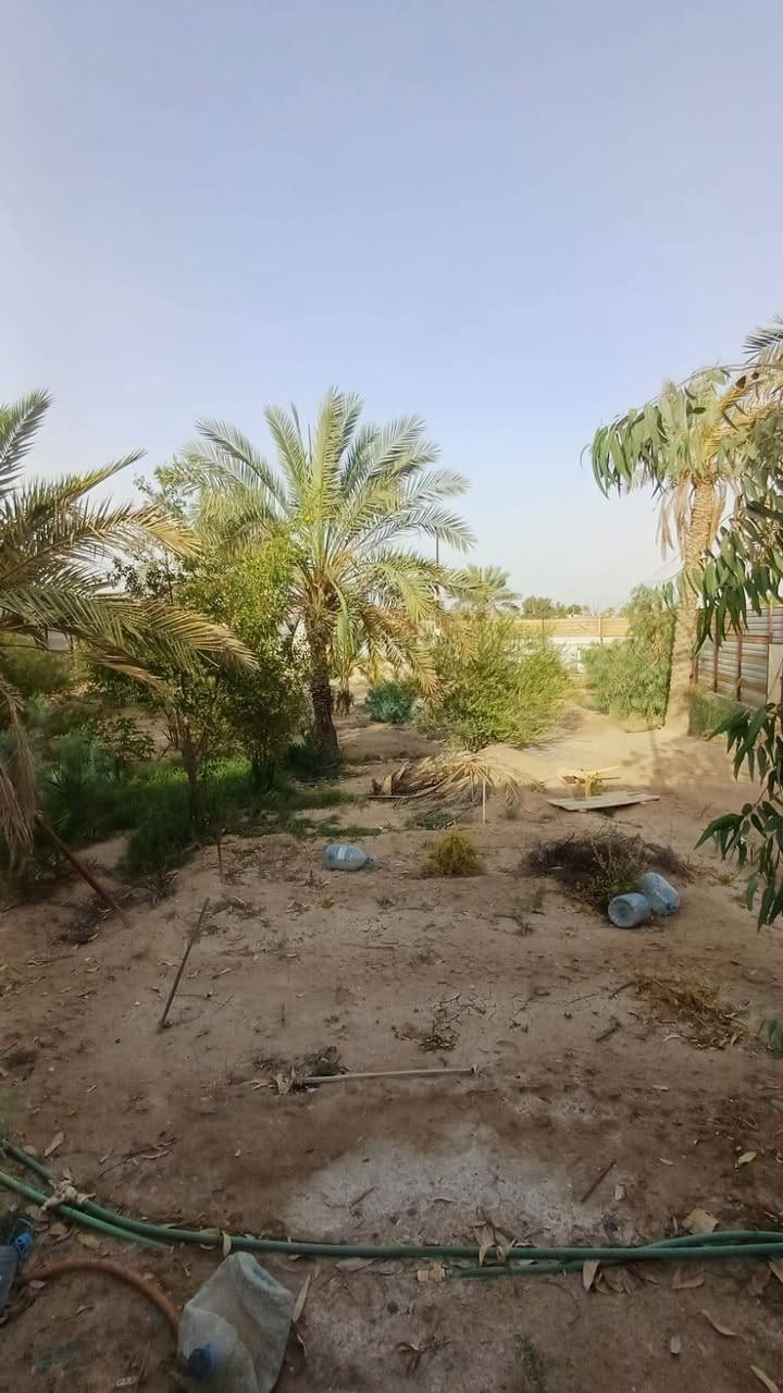 🌴 دونم للبيع في موقع مميز – أبي الخصيب 🌴
فرصة رائعة لامتلاك عقار مميز مطل على نهر جارٍ في منطقة هادئة وجميلة، مناسب للسكن أو الاستثمار أو الاستراحة العائلية.
🔹 المساحة: دونم كامل
🔹 السند: طابو ملك صرف – تحويل باسم المشتري مباشرة
🔹 الموقع: مطل على نهر جارٍ
🔹 يحتوي على: عدد من النخيل والأشجار المثمرة
🔹 مسيج بالكامل من جميع الجهات
🔹 يتضمن دار استراحة (كرفان) جاهزة للاستخدام
🔹 قريب من الشارع العام الداخلي (السايدين)
🔹 العنوان: البصرة – أبي الخصيب – طريق الصحراء
✨ موقع مميز يجمع بين الهدوء والطبيعة وقرب الخدمات، ويصلح للسكن أو للاستثمار أو كاستراحة خاصة.
📞 للاستفسار والاتصال:
*********** البصرة, العراق
