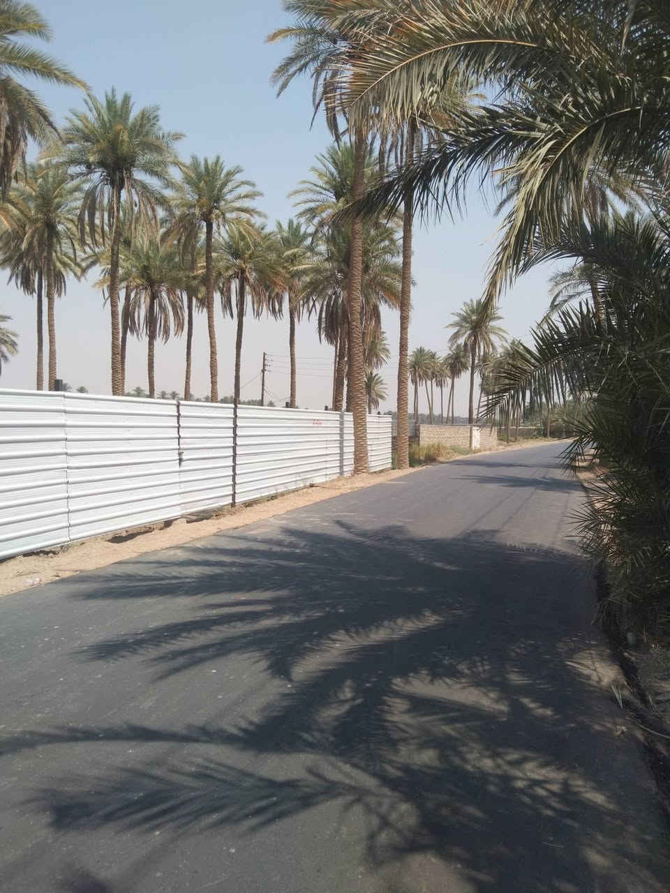 للبيع .. للبيع ..
نصف دونم على شط الكوفة طابو ملك زراعي على طابو الكوفة بالاصل سندها عثماني الاسود وجه عالشط ووجه عالتبليط مسيجة بالكامل والشط مشتغليه حجر ومتوفر كامل الخدمات ماء وكهرباء ومدارس ومركز صحي وخط كيات وجيرانها ذهب وشخصيات ومجاوره شاليهات عائلية مقابل مشروع ماء الكوفة الجديد تبليط جديد بالباب تبعد عن جسر الامام علي عليه السلام تقريب ٣ كيلوات قرب كلية الزراعة والارض ملك وليس عقد يعني ضمان ١٠٠٪  .
للاستفسار الاتصال على الرقم واتس او خاص وبخدمتكم  .
***********
