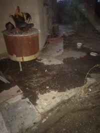 تنظيف حدائق • بيوت متروكه • تنظيف أسطح