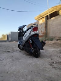 ماكس منغولي • بوشه 55 • نضيفه