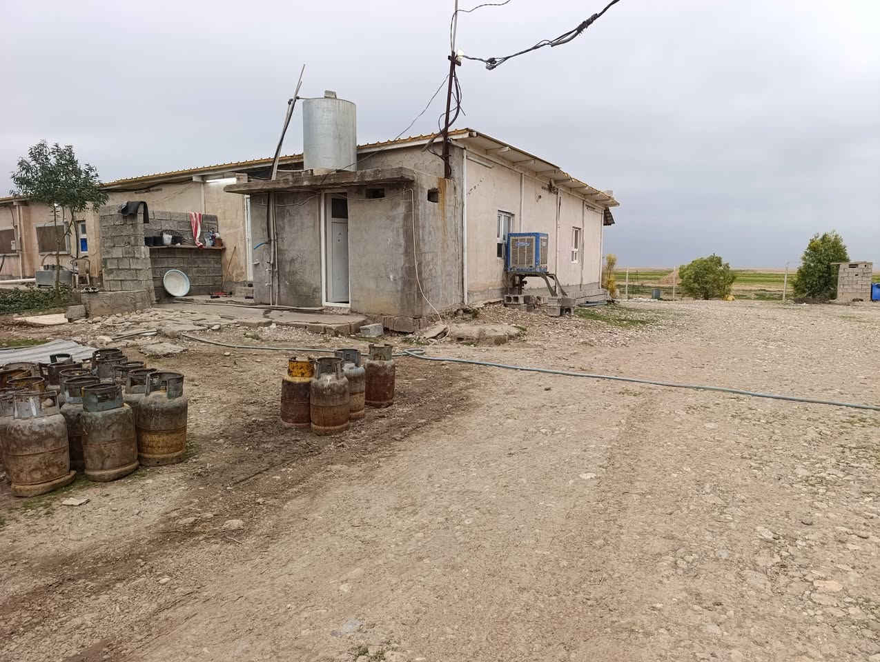 #حقل دواجن جاهزة للبيع موقع ممتاز 💒💒💒

#المساحة،،(  دونمين )
عرض دواجن ١١ متر 
النزال ٦٥ متر يلزم عشرة الف دجاج
يتكون من بيت جاهز مع بيت لحرس مع مولدة   مع تانكي ماي
محولة كهرباء مع بير ماء 
دواجن جاهز لشغل بدون نقص حاليا بيها وجبة دجاج 🌷🌷

#العنوان،، كركوك،، ناحيةليلان،، طريق خالوبازياني 
المكتب بخدمة زبائنه الكرام 🎄🎄
اللاستفسار اتصال ع ارقام مكتب جمال للعقار والمقاولات
 
 ***********📞واتساب 

#ملاحضة
يمكنكم إرسال الاراضي والأملاك للأعلان عنه في صفحتنا بدون مقابل 
عنوان كامل للمُلك 📌
كم صورة من المُلك🏡
سعر المُلك💰
